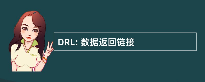 DRL: 数据返回链接