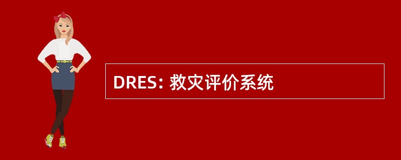 DRES: 救灾评价系统