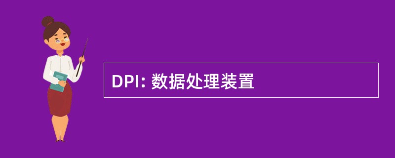 DPI: 数据处理装置