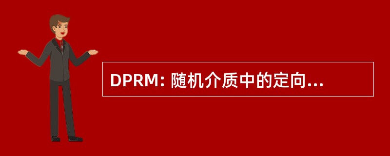 DPRM: 随机介质中的定向的聚合物