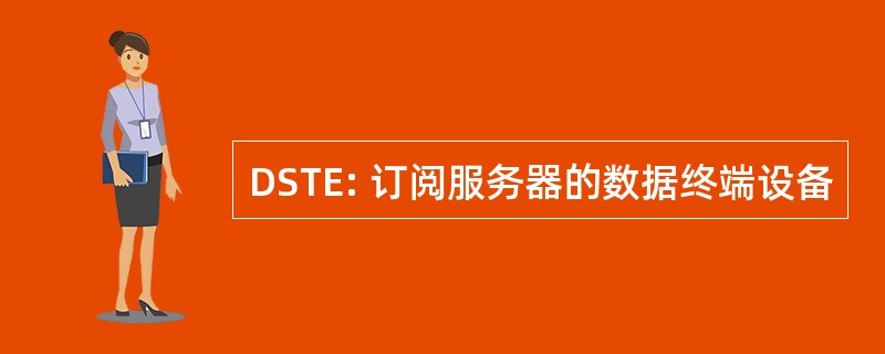 DSTE: 订阅服务器的数据终端设备