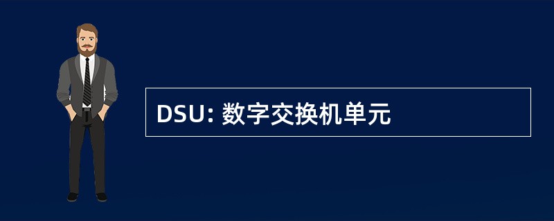 DSU: 数字交换机单元