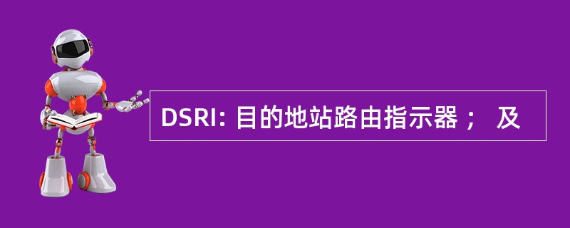 DSRI: 目的地站路由指示器 ； 及