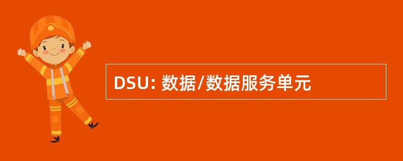 DSU: 数据/数据服务单元