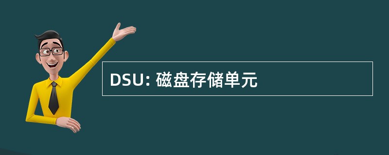 DSU: 磁盘存储单元