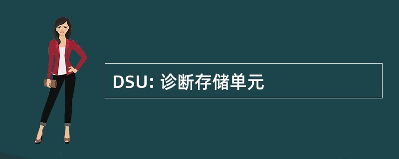 DSU: 诊断存储单元