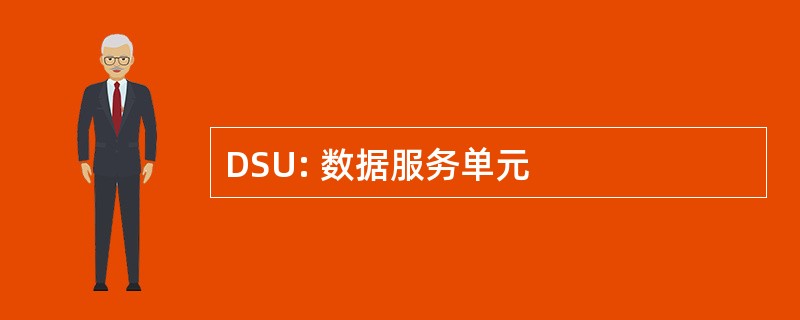 DSU: 数据服务单元