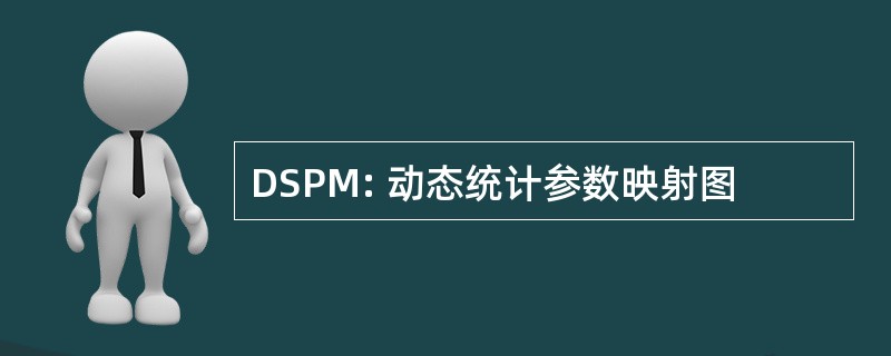 DSPM: 动态统计参数映射图