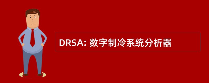 DRSA: 数字制冷系统分析器