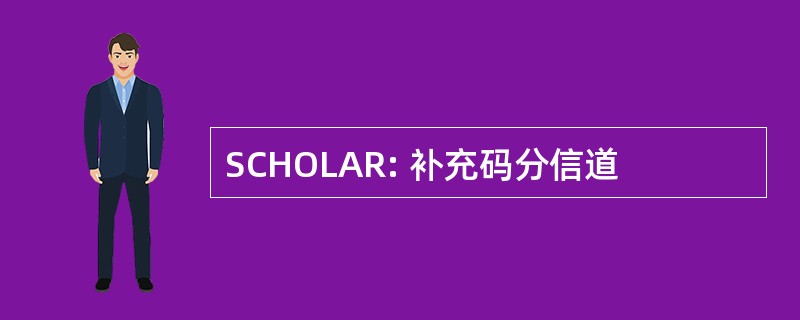 SCHOLAR: 补充码分信道