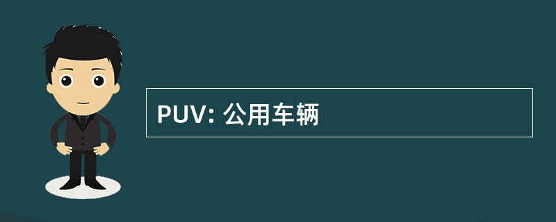 PUV: 公用车辆