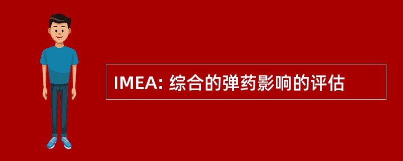 IMEA: 综合的弹药影响的评估