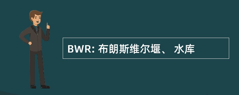 BWR: 布朗斯维尔堰、 水库