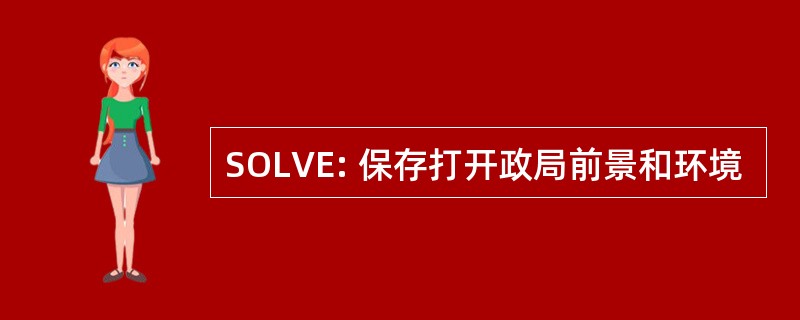 SOLVE: 保存打开政局前景和环境