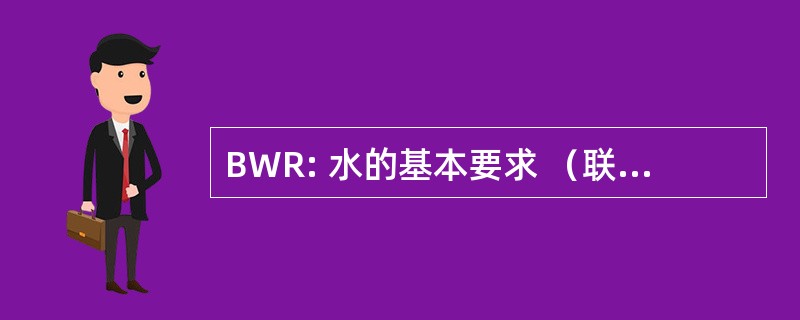 BWR: 水的基本要求 （联合国术语）