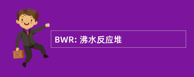 BWR: 沸水反应堆