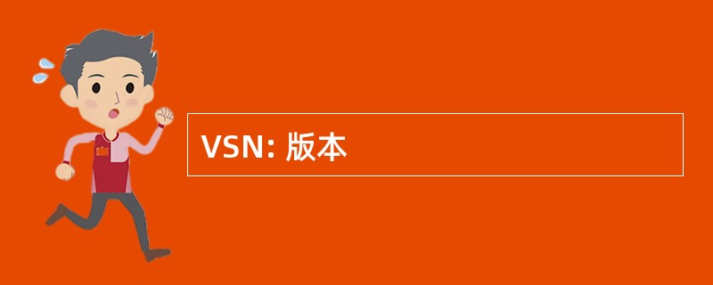 VSN: 版本