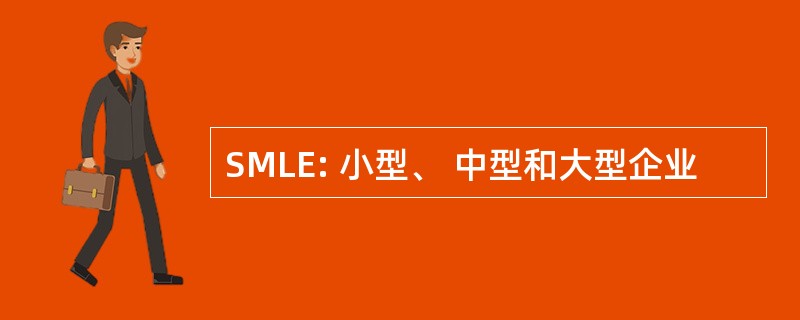 SMLE: 小型、 中型和大型企业