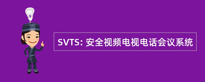 SVTS: 安全视频电视电话会议系统