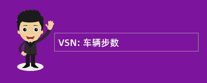 VSN: 车辆步数