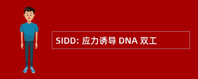 SIDD: 应力诱导 DNA 双工