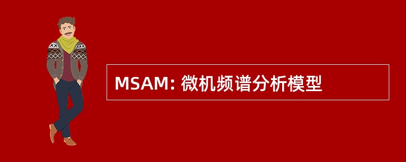 MSAM: 微机频谱分析模型