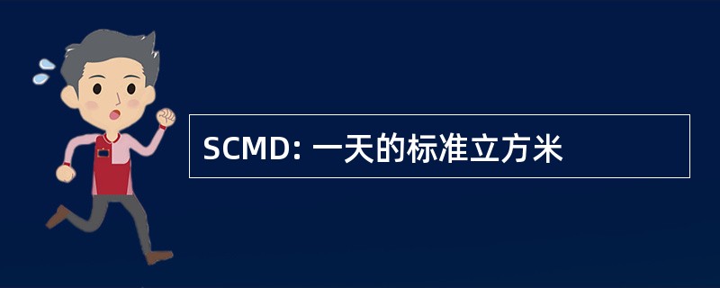 SCMD: 一天的标准立方米