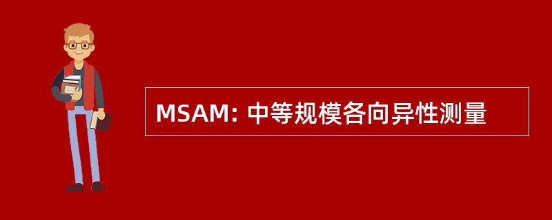 MSAM: 中等规模各向异性测量