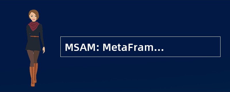 MSAM: MetaFrame 安全访问管理器