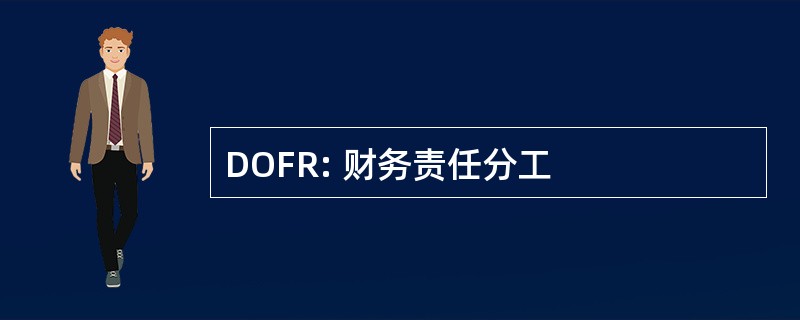 DOFR: 财务责任分工