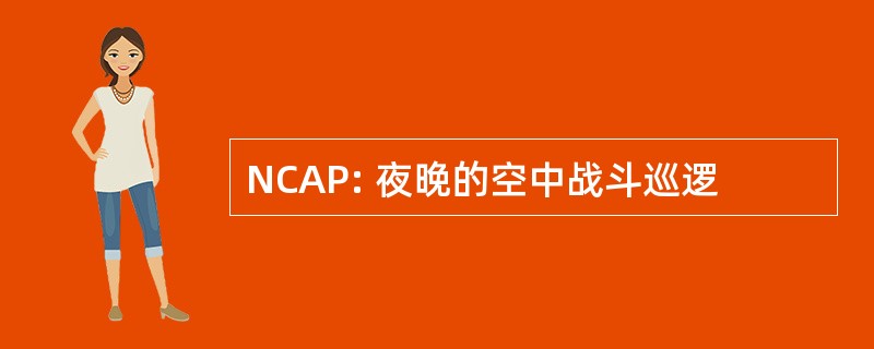 NCAP: 夜晚的空中战斗巡逻