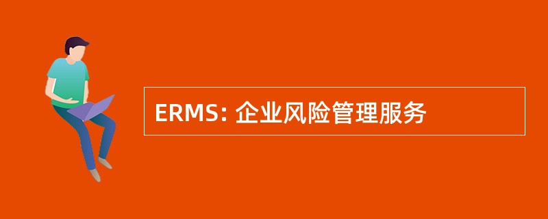 ERMS: 企业风险管理服务