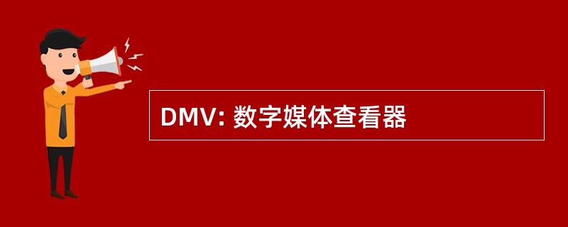 DMV: 数字媒体查看器