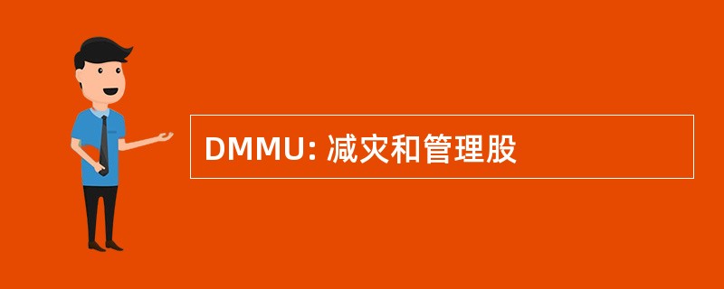 DMMU: 减灾和管理股