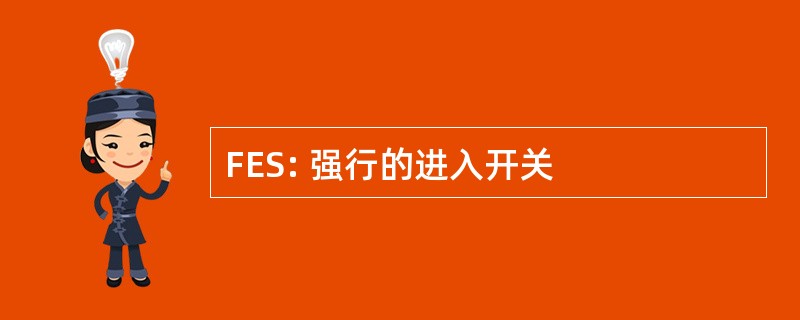 FES: 强行的进入开关