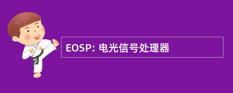 EOSP: 电光信号处理器