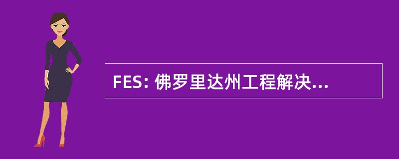 FES: 佛罗里达州工程解决方案，公司