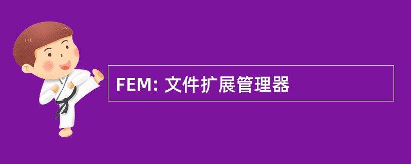 FEM: 文件扩展管理器