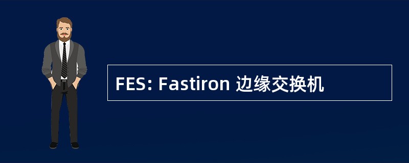 FES: Fastiron 边缘交换机