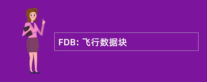 FDB: 飞行数据块