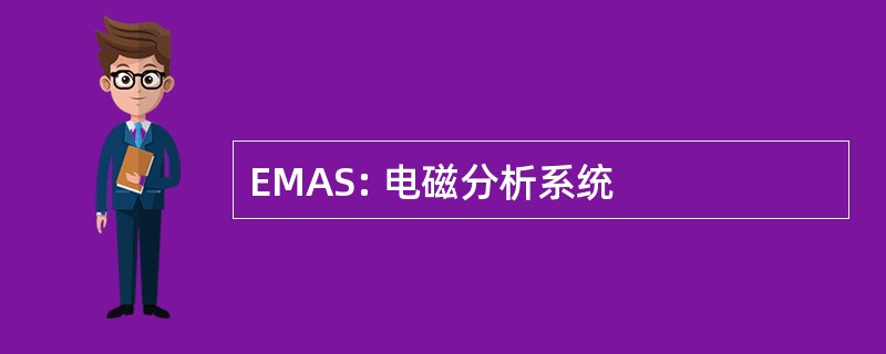 EMAS: 电磁分析系统