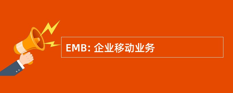 EMB: 企业移动业务