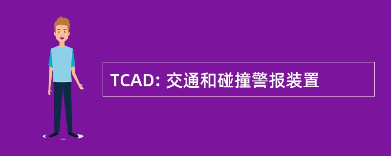 TCAD: 交通和碰撞警报装置