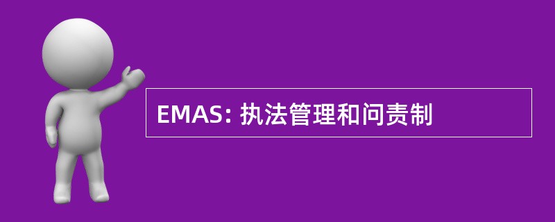 EMAS: 执法管理和问责制