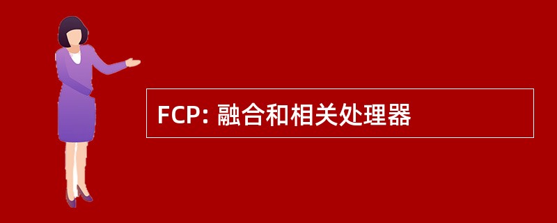 FCP: 融合和相关处理器