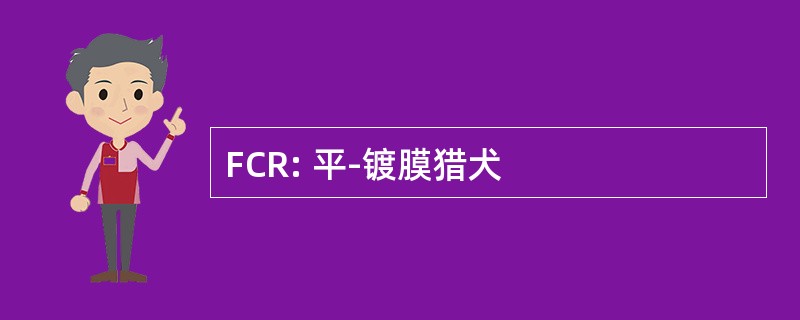 FCR: 平-镀膜猎犬