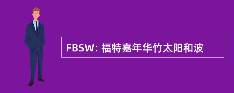 FBSW: 福特嘉年华竹太阳和波