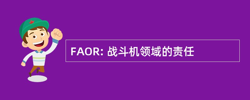 FAOR: 战斗机领域的责任