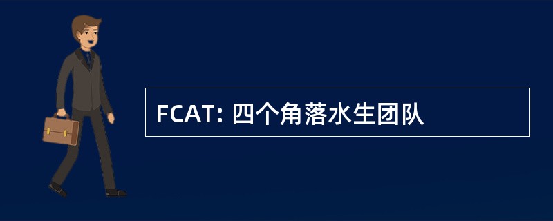 FCAT: 四个角落水生团队