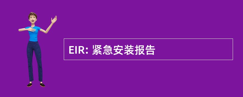 EIR: 紧急安装报告